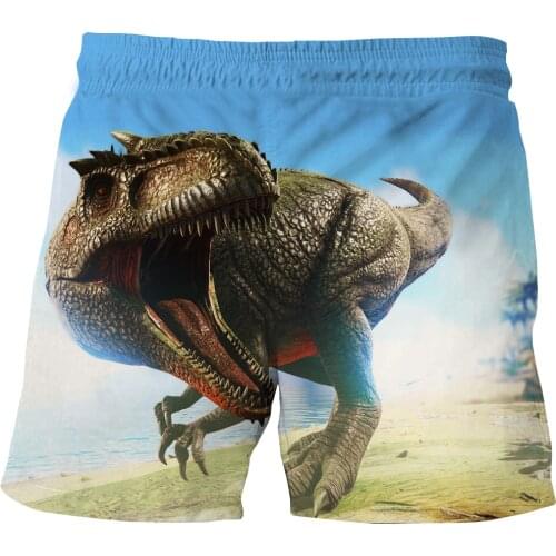 Summer Boys Dinosaur Shorts Leisure Fashion Kids Swimming Shorts Children Teenage Boy Loose Sport Beach Shorts Sweatpants 3-14Y