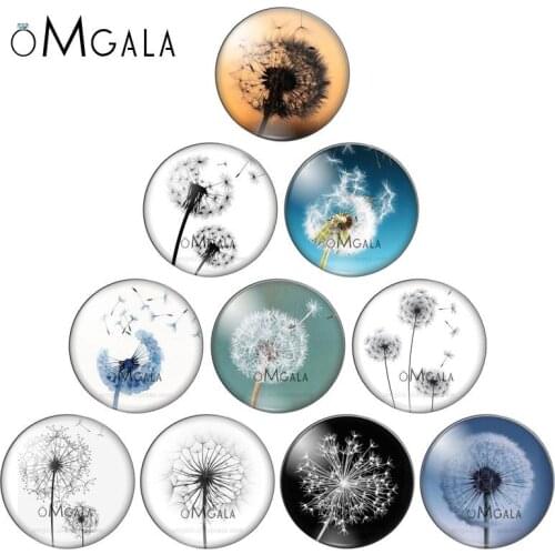 Reidgaller mix dandelion photo round glass cabochon 8mm 12mm 20mm 25mm 30mm diy flatback jewelry findings for earrings pendants