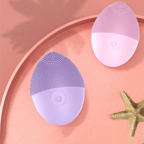 Aneercare Electric Face Brushes