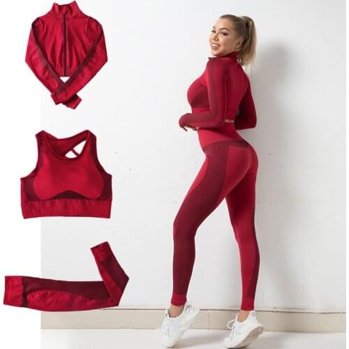3Pcs Set Women Fitness Clothing Sports Zipper Long Sleeve Bra Push Up Leggings Workout Jogging Athletics Bodybuilding Outfit