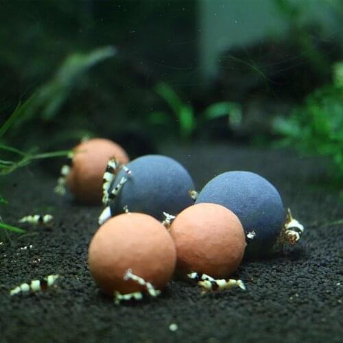 Crystal Shrimp Tank Natural Tourmaline Ball Aquarium Water Purification Live Maifan Stone Live Ball Fish Tank Water Mineral Ball