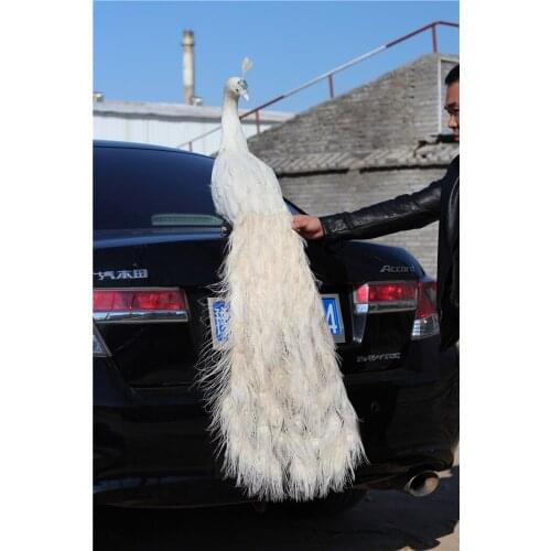 White real life peacock model foam&real feather beautiful turned back peacock gift about 120cm xf3022