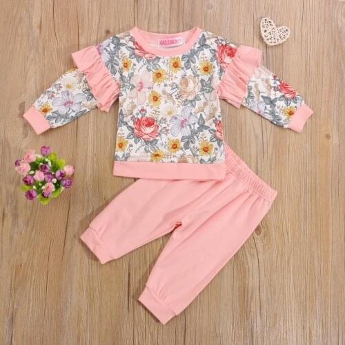 6M-4Years Toddler Girls 2Pcs Fall Outfits, Casual Long Sleeve Floral Print Pullover and Pants Set