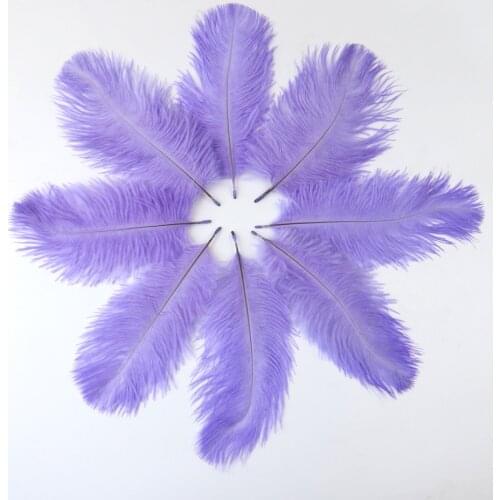 New Design 10 PCS/Lot Size 15-20 CM Fancy Soft Fluffy Natural Purple Ostrich Feathers Headdress Dreamcatcher Craft Decoration