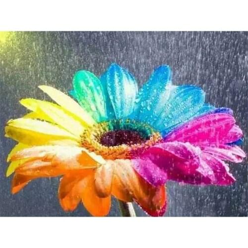 DIY Painting By Numbers Flowers Kit Coloring By Numbers Flora Wall Art Acrylic Canvas Paintings Home Decoration Gift Room