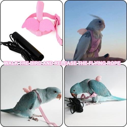 Pet Parrot Bird Harness Leash Flying Rope Straps Outdoor Training Traction Rope For Budgerigar Lovebird Cockatiel Small Birds