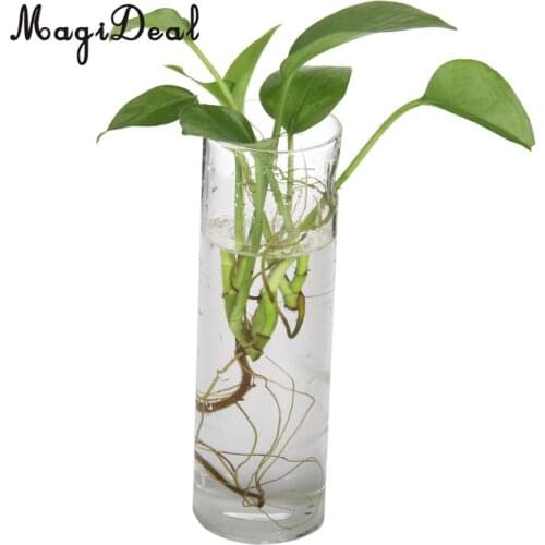 MagiDeal Handmade Cylinder Clear Glass Wall Hanging Vase Bottle for Plant Flower Bedroom Living Room Office Desk Decoration Gift