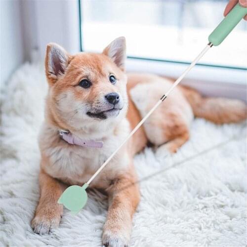 KEMISIDI Trainers For Dogs