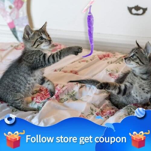 Magic Tricks Worm On A String Bulk Toy Magic Plush Material Suitable For Beginners Funny Antistress Trickery Can Move Pet Cat