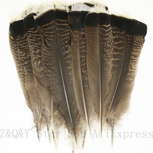 Natural 25-40CM (10-16 inches) flower turkey flat feather 10-100PCS DIY collection craft headdress earring accessories feather