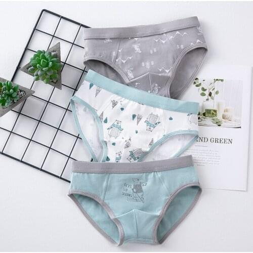 YourSeason Childrens Underpants Baby Cotton Briefs Cartoon Printed Underwear Striped Toddler Panties Boys Briefs 3pcs Lot