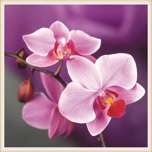 Crafts Needlework Kit Diamond Painting 5d Filled Embroidery Pink Orchid Cross Stitch Full Quare/round Drill