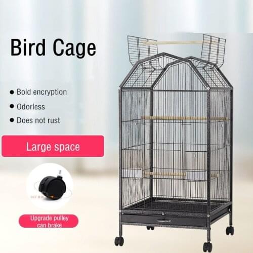 Wrought Iron Bird Cage with Play Top and Rolling Stand for Parrots Conures Lovebird Cockatiel Parakeets Bird Nest Assembly