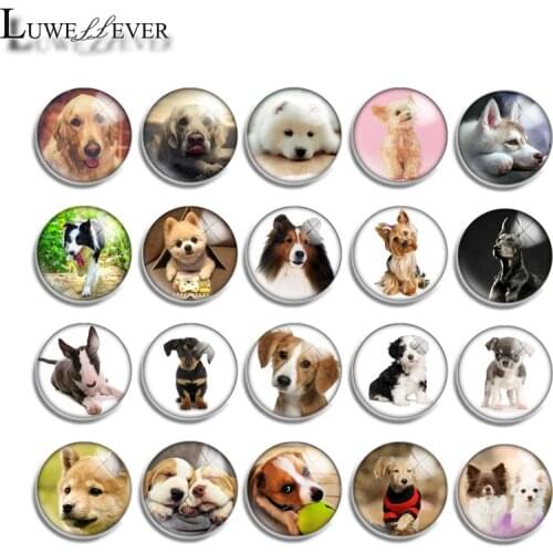 10mm 12mm 16mm 20mm 25mm 30mm 572 Cute Dog Mix Round Glass Cabochon Jewelry Finding 18mm Snap Button Charm Bracelet