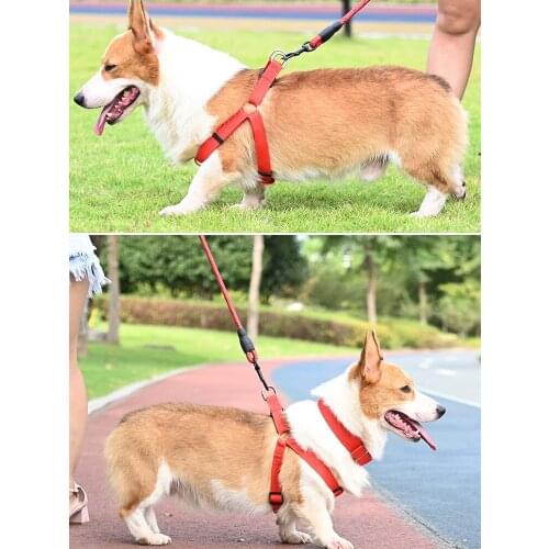 Pet Dog Chain Vest-Style Traction Rope Small And Medium-Sized Large Dog Labrador German Shepherd Golden Hair Walking Dog Rope