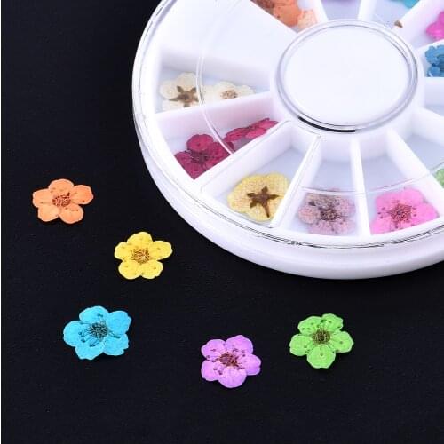Beautiful 24 Pcs 3D Nail Dried Flowers Nail Art Decoration DIY Real Preserved Flowers Nails Rhinestones For Manicure Tools