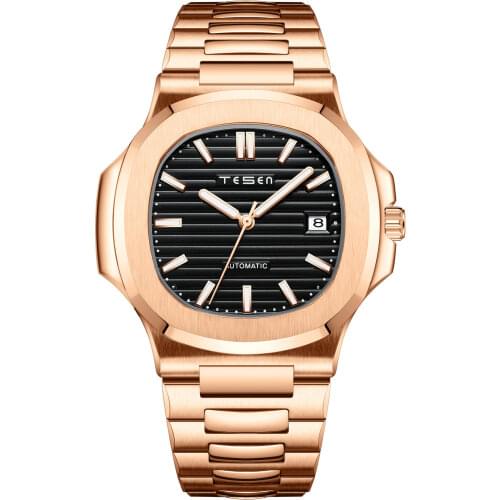 TESEN DESIGN Top Men Luxury Brand Automatic Watch Male Military Automatic Mechanical Watches steel luminous hand nautilus watch