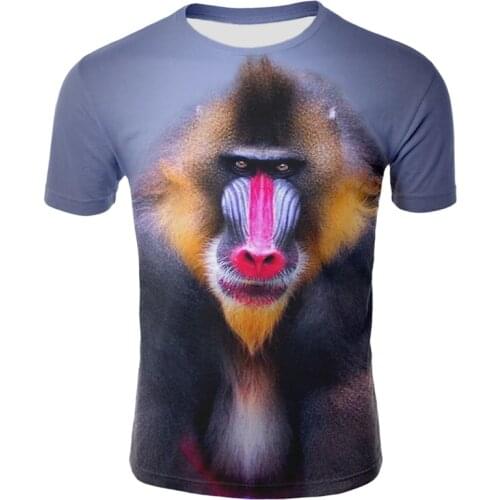 The coolest T-shirt 3D mens T-shirt fashion cartoon cute cat T-Shirt Funny Cat animal design t-shirt