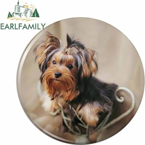 EARLFAMILY 13cm x 13cm Yorkie Yorkshire Terrier Dog Car Body Stickers Rear Windshield Decal Vinyl Fashion Car Styling