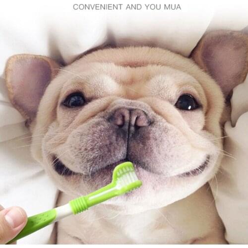 Pet Toothbrush Kit With Soft Dog Finger Toothbrush Pet Multi-angle Cleaning Tooth Dog Cat Dental Care ToothBrushes Set for Pets