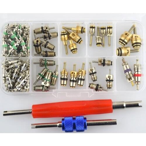 102pcs Car R12&R134 A/C Air Conditioner Schrader Valve Core Remover Tool Kit