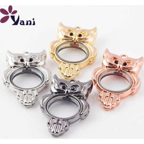 10 Pcs/lot Wholesale Cute Owl Shape Memory Charms living glass lockets pendants Necklace with chain