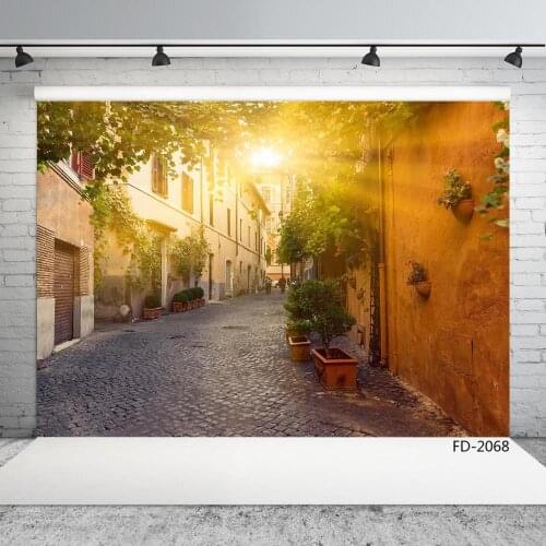 Photography Backgrounds House Pathway Sunset Vinyl Cloth Photo Backdrops Fond Studio Photo Children Baby Portrait Photophone
