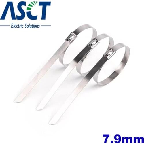 10PCS 7.9*100mm 7.9*200mm 7.9*300mm 7.9*400mm 7.9*500mm stainless steel metal cable tie 0.25m Multi-Purpose Locking Cable Ties