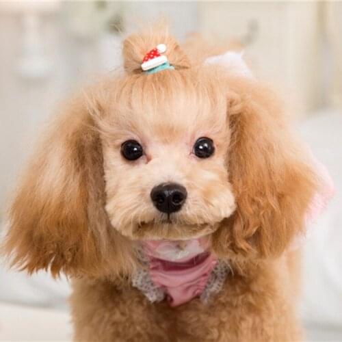 The supply of new pet hair ring Korean cute Christmas band dog pattern flower jewelry wholesale accessories 50pcs