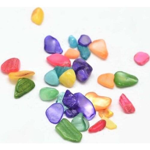 1000g Dyed Natural Shell Chip Beads No Hole Mixed Color For DIY Jewelry Making Handicrafts Supplies Decoration Accessories