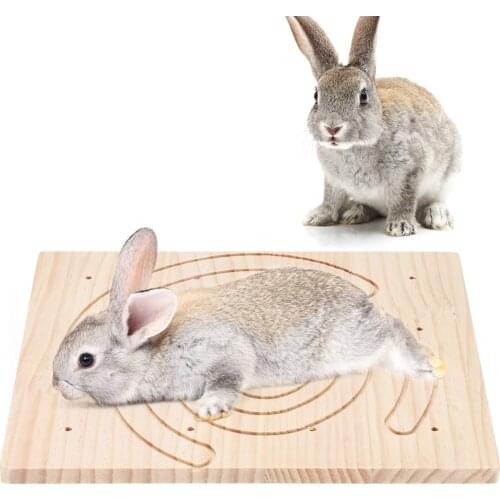 Wooden Claws Scratching Board for Pet Hedgehog Squirrel Rabbit Play Toy Cage Accessory Hamster Toy Pet Products
