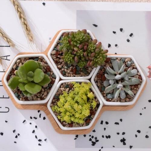 Set of 4 Hexagon Flowerpots White Ceramic Succulent Plant Pot with Bamboo Stand Home Decor Bonsai Planters