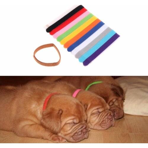 12Pcs Colorful Whelping Nylon Pets Dog Cat Puppy Collars Soft Adjustable Identification Mark For Cats Dogs Pet Supplies C42