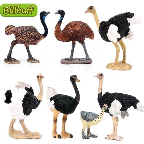 Hot Simulation Wild PVC Animal Ostrich Cub Model Action Figures Collection Miniature Cognition Educational Toy for children Gift