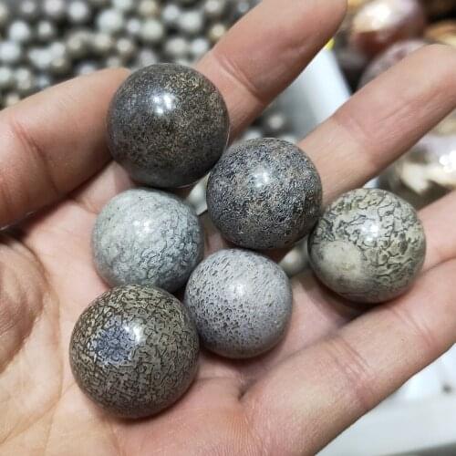 6pcs NATURAL dinosaur bones Crystal sphere fossil quartz ball Gem Stone