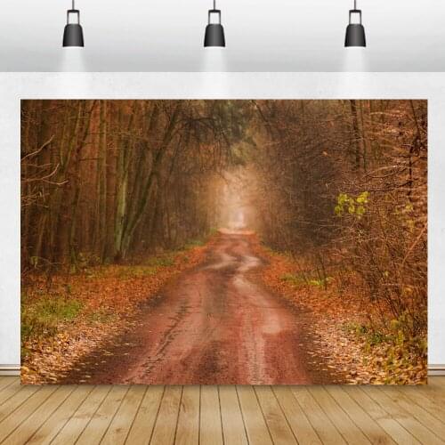 Autumn Forest Backdrop For Photography Light Bokeh Forest Path Child Kids Shoot Photozone Photography Background Photocall