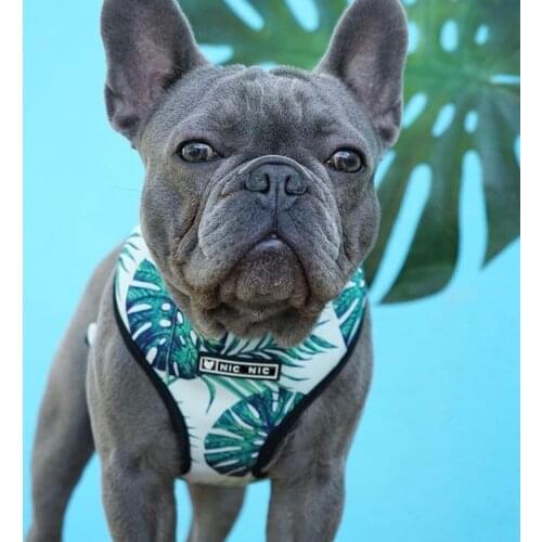 French Bulldog Harness Printed English Bulldog Frenchie Reversible Harness Puppy Small Dogs Vest for Pug Walking Training