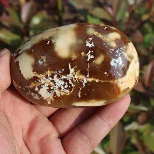 250g Beautiful Natural Polished Red agate Stone Sample QUARTZ CRYSTAL HEALING Aquatic Plants Madagascar Home decoration M13