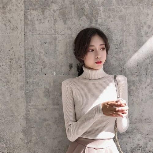 Basic Turtleneck Women Sweaters Autumn Winter Tops Slim Women Pullover Knitted Sweater Women Jumper Soft Warm Pullover 2021 New