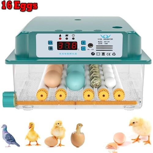 CTOSY Products For Farm Animals