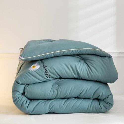 6 Colors Comforter Duvets Single Double Quilt Winter Very Warm Thickening Duvet King Queen Twin Weighted Size Blanket Quilted