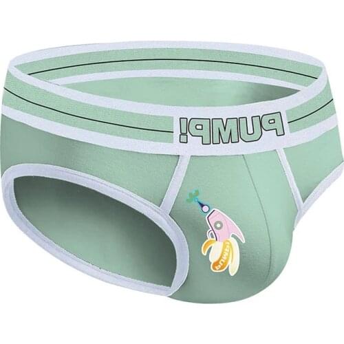 Mens Underwear High Quality Sexy Men Briefs Underpants Gay Mens Underware Man Slip Cuecas Breathable Male Panties Bikini