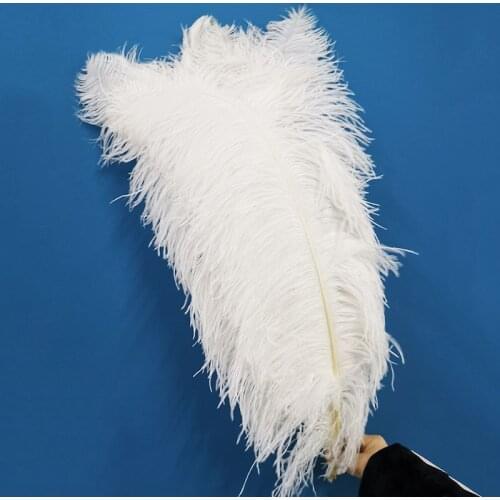 The New 20pcs/lot Beautiful Ostrich Feather 75-80cm/30-32inch Home Diy for Dancers Christmas Accessories Plume