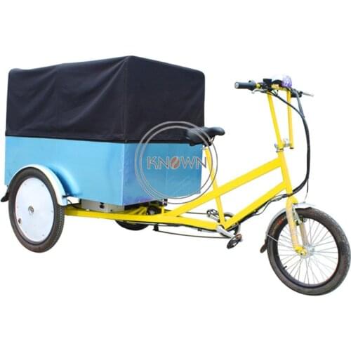Flatbed Trike Cargo Bike Electric Adult Tricycle Street Food Cart Bicycle Vending Cart Customizable Free Shipping