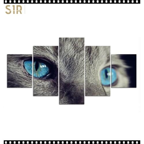 HD 5 Pieces Pet Cat Animal Pictures Posters Wall Art Home Decor for Living Room Painting on The Wall Cat Pet Pictures Wall Art