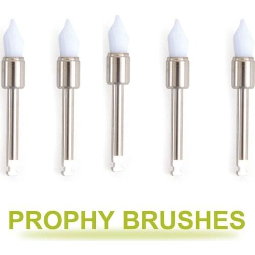 Ange Aile 100pcs Dental Brushes Taper With Handle Polisher Disposable Prophy Cup Dentist Lab Materials Dental Brushes