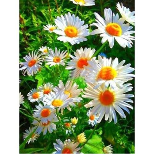 5D DIY Square/Round Diamond Flower Painting Small Daisies Beautiful Pictures Cross Stitch Embroidery Home Decoration Art TX118