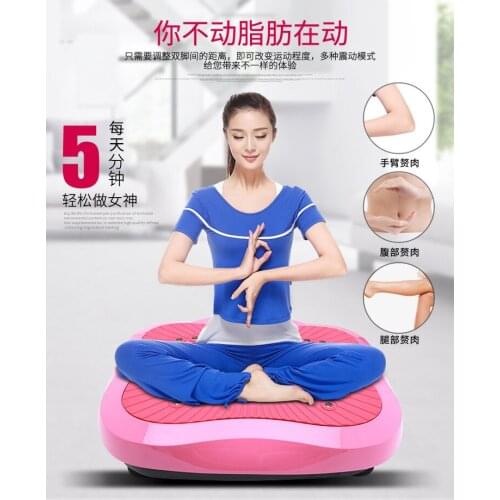 Free shipping Lazy slimming machine shake meat shaker whole body home shaker massager