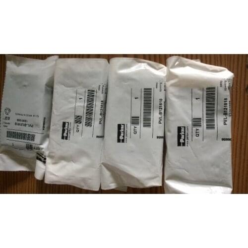 The United States Brand New & Original Solenoid Valve PVLB121618