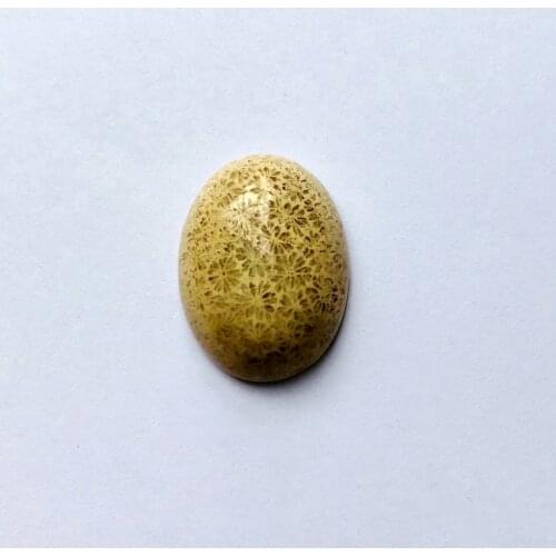 Natural Coral Fossil Jaspe r gem stone cabochon 15*20mm Oval Semi stone Cabochon 1piece Stone Ring Face